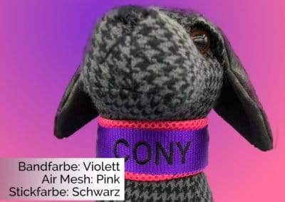 Halsband Violett Pink Text 1