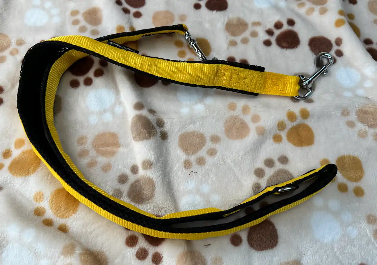 Hundeshop 20 Kurzversion Fuehrleine