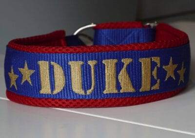 Hundehalsband Blau Rot von Duke