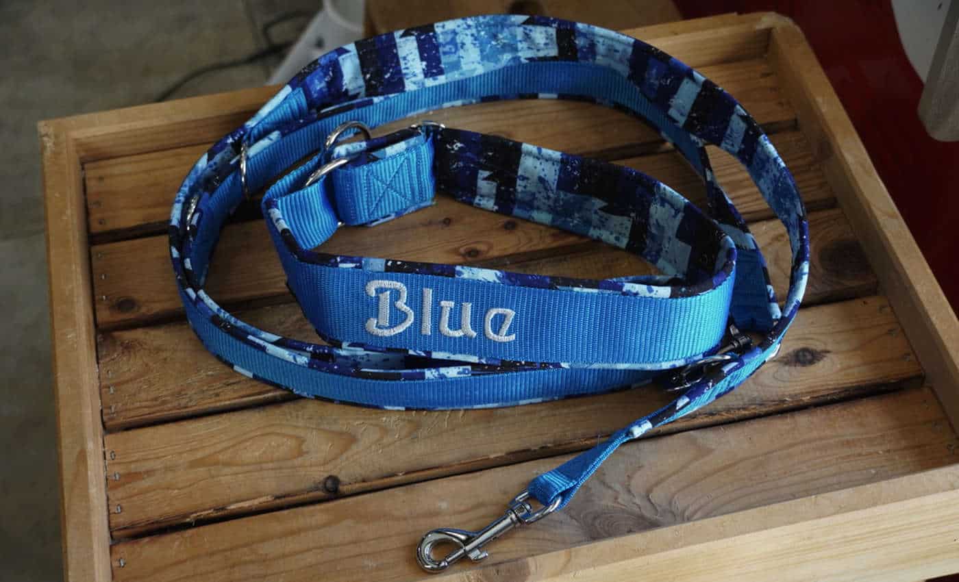 Hundehalsband und Hundeleine Blue
