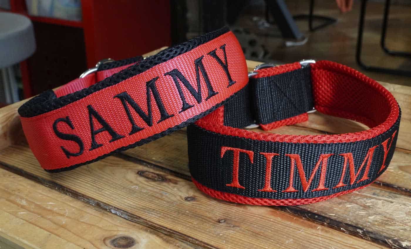 Halsbänder Sammy und Timmy