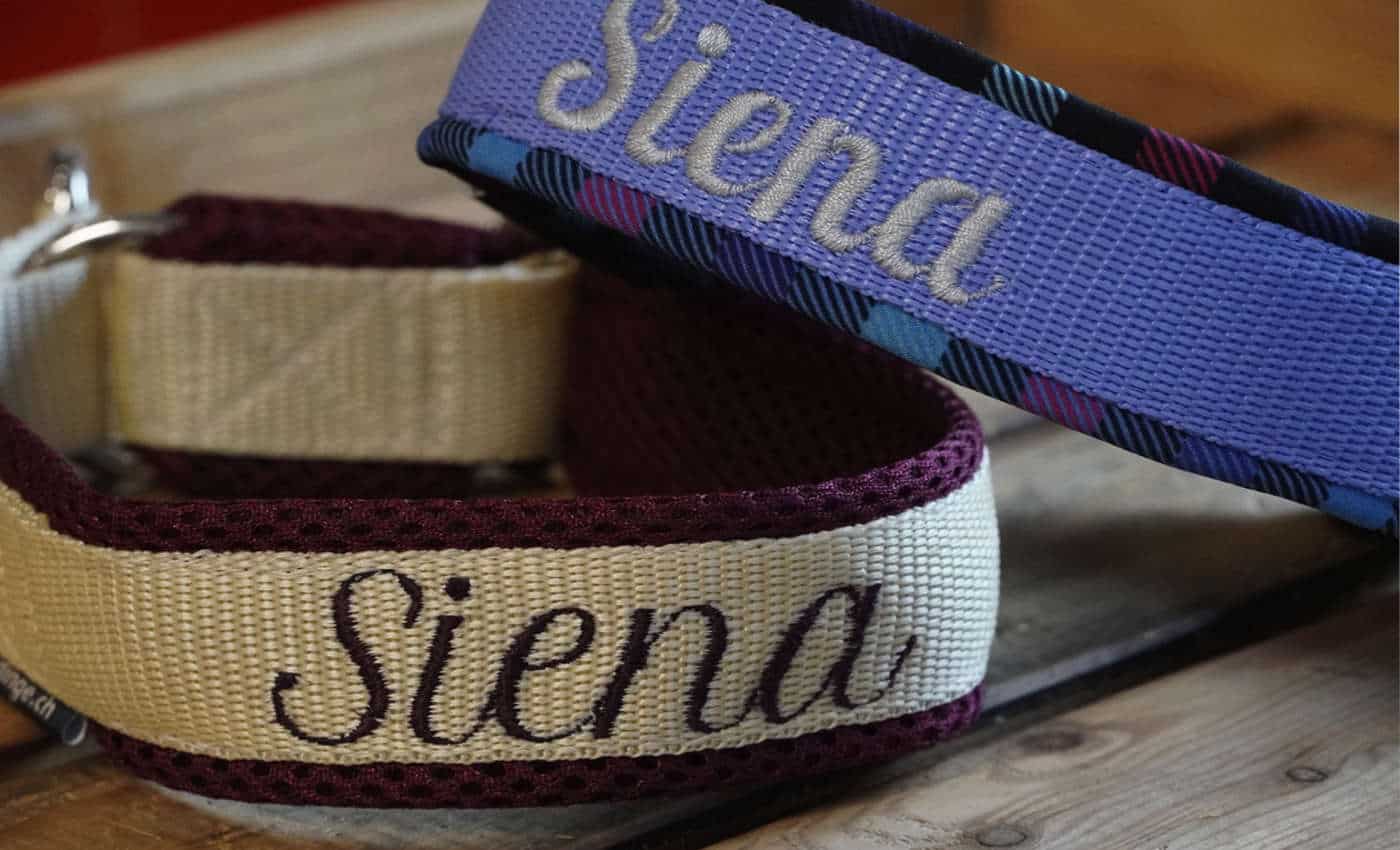 Hundehalsband Siena