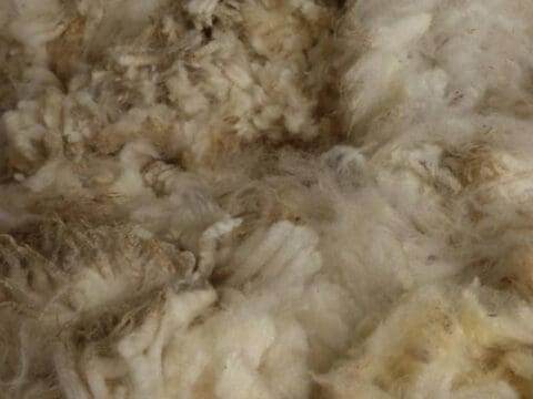 Schafwolle gewaschen (leicht)