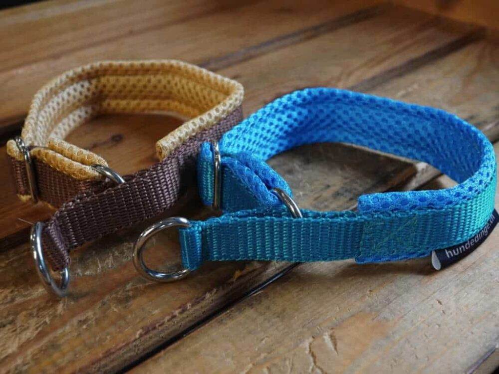 Halsbänder bestickt für kleine Hunde