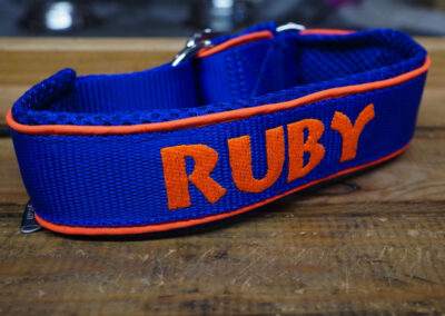 Kombination zeigt reflektierendes Hundehalsband mit Gurtband Signalblau / Air Mesh Blau / Paspel Orange