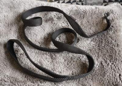 Fixe Hundeleine 5 Leine 04