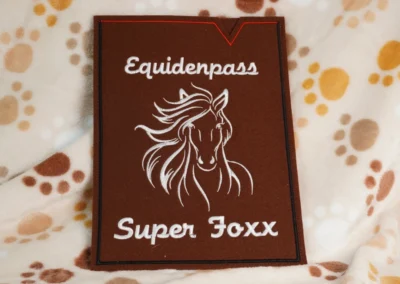 Equidenpass-Hülle 3 hd equidenpass 02