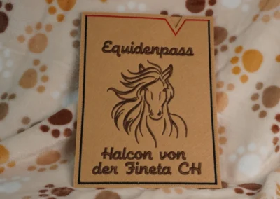 Equidenpass-Hülle 4 hd equidenpass 03