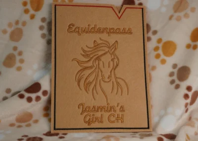 Equidenpass-Hülle 5 hd equidenpass 04