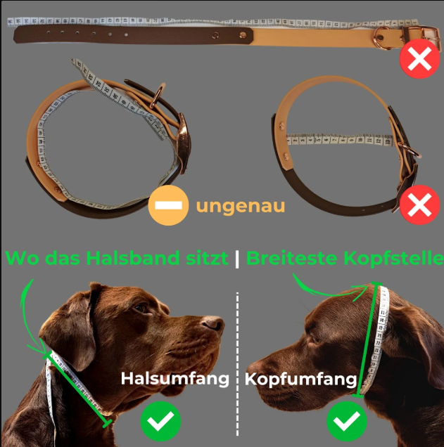 Screenshot 2025-03-17 203311