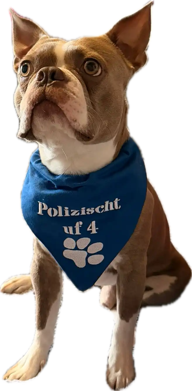 HD-Bandana-Loki Bandana Loki