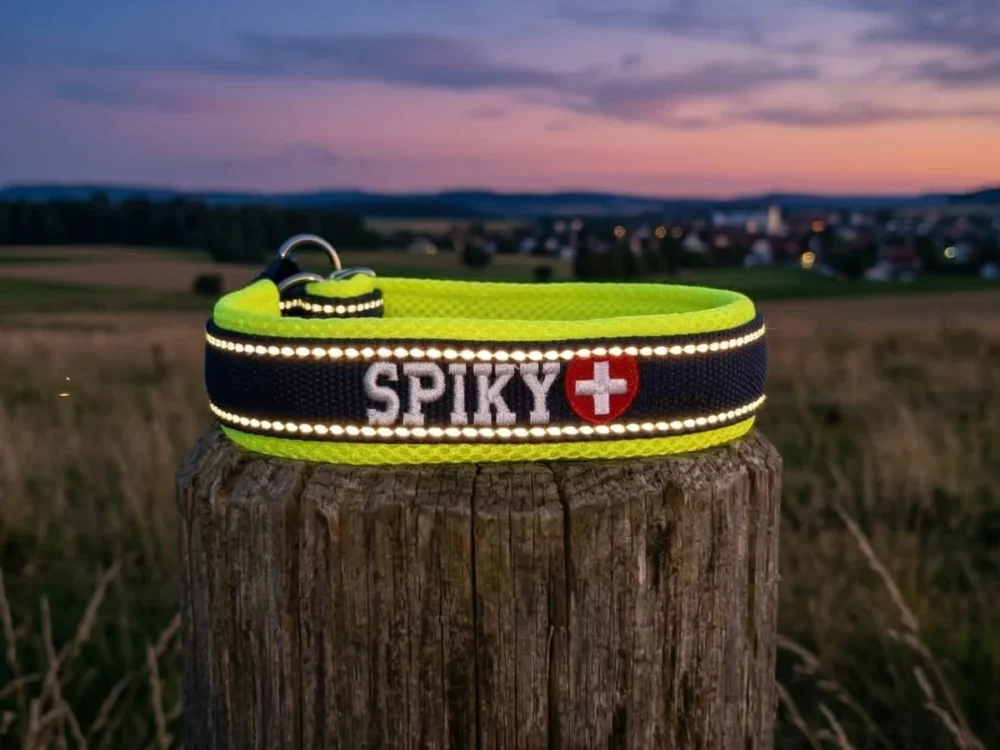 Reflektierendes Hundehalsband mit Zugstopp
