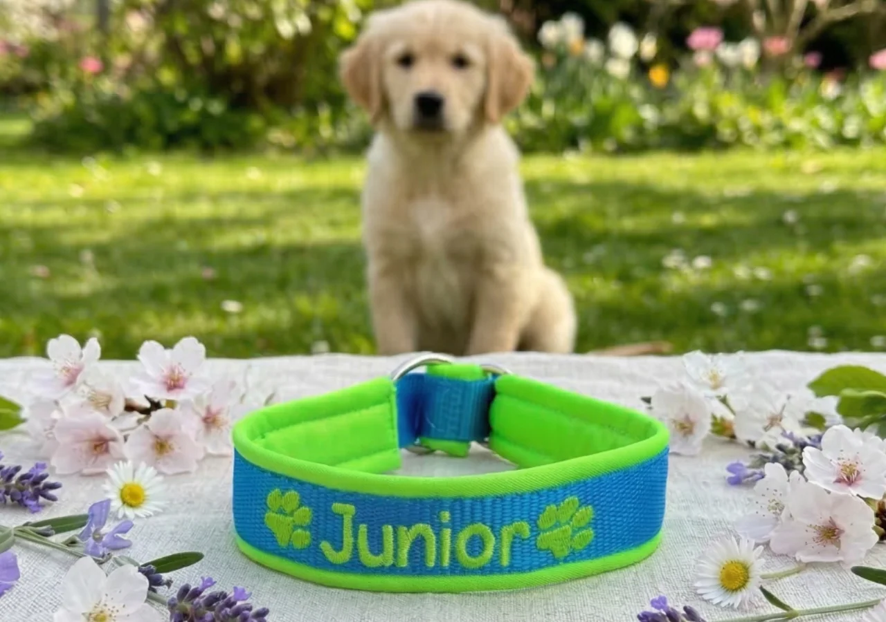 Hundehalsband mit Softshell und Zugstopp 1 Zugstopp Halsband, Softshell, weich