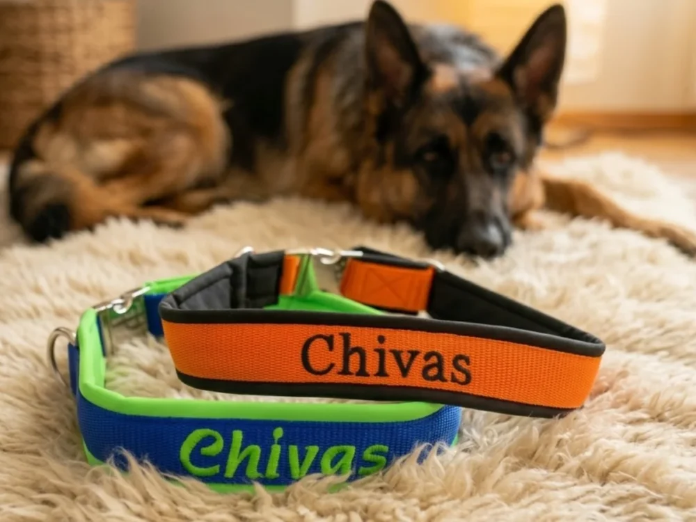 Hundehalsband mit Schnalle und Softshell